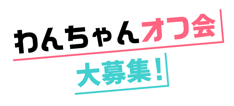 わんちゃんオフ会大募集！